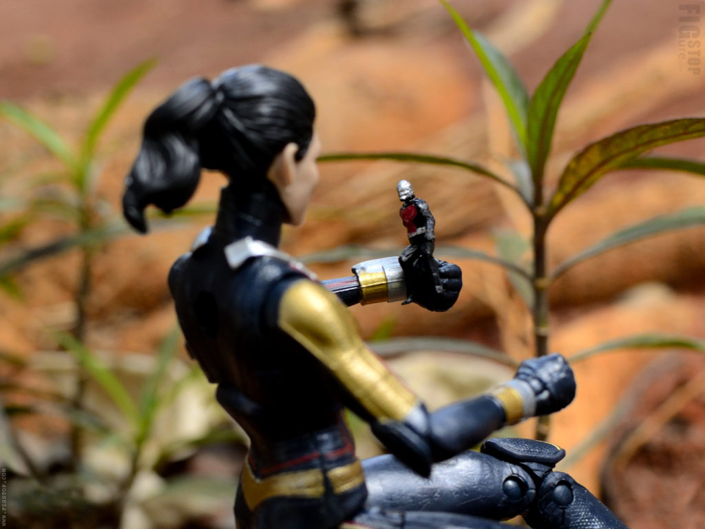 Antman Proposes The Wasp