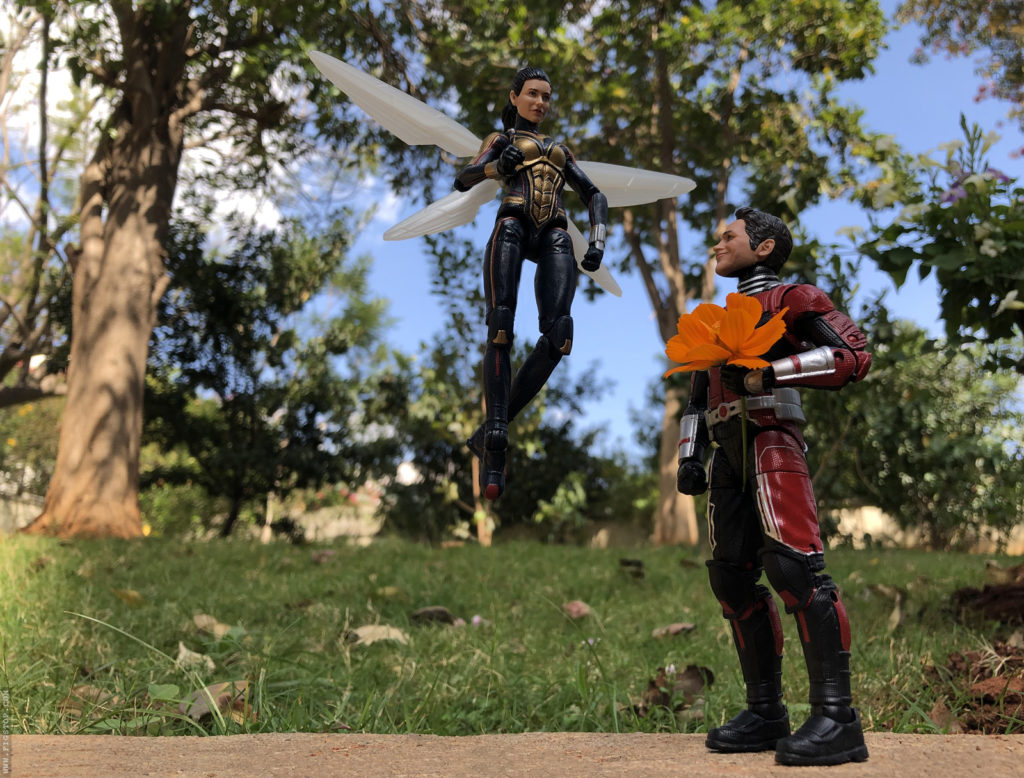 Scott Lang Proposes The Wasp